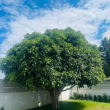 Ilary Bed & Breakfast